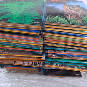 웅진 푸른아이 자연을 보는 새로운 눈 책 전집 60권 상태A급 내고가능