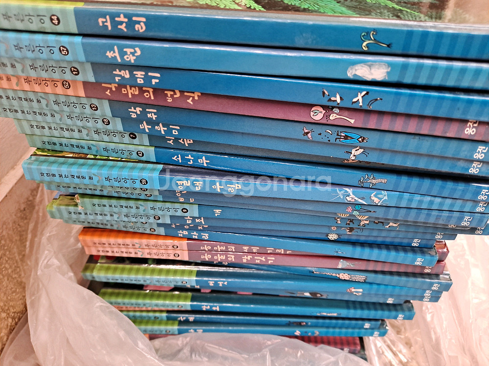 웅진 푸른아이 자연을 보는 새로운 눈 책 전집 60권 상태A급 내고가능--1