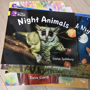 빅캣 핑크-블루