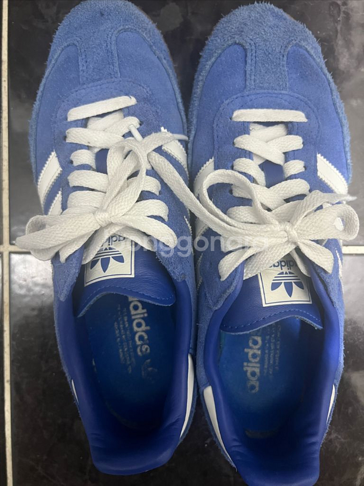 아디다스 삼바 OG 로얄 블루 260--1