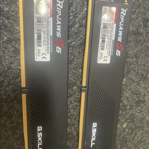 ddr5 지스킬 립죠스 32gb x2 64gb 팝니다