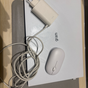 LG 그램 17인치 i5 배터리 성능 100%