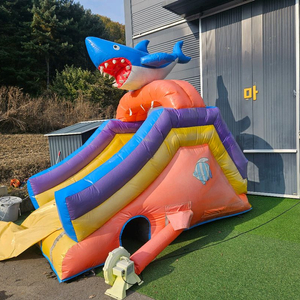 미끄럼틀 에어바운스, 수영장