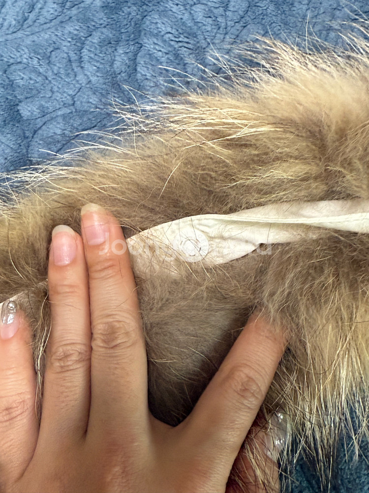 밀레 패딩 100--3