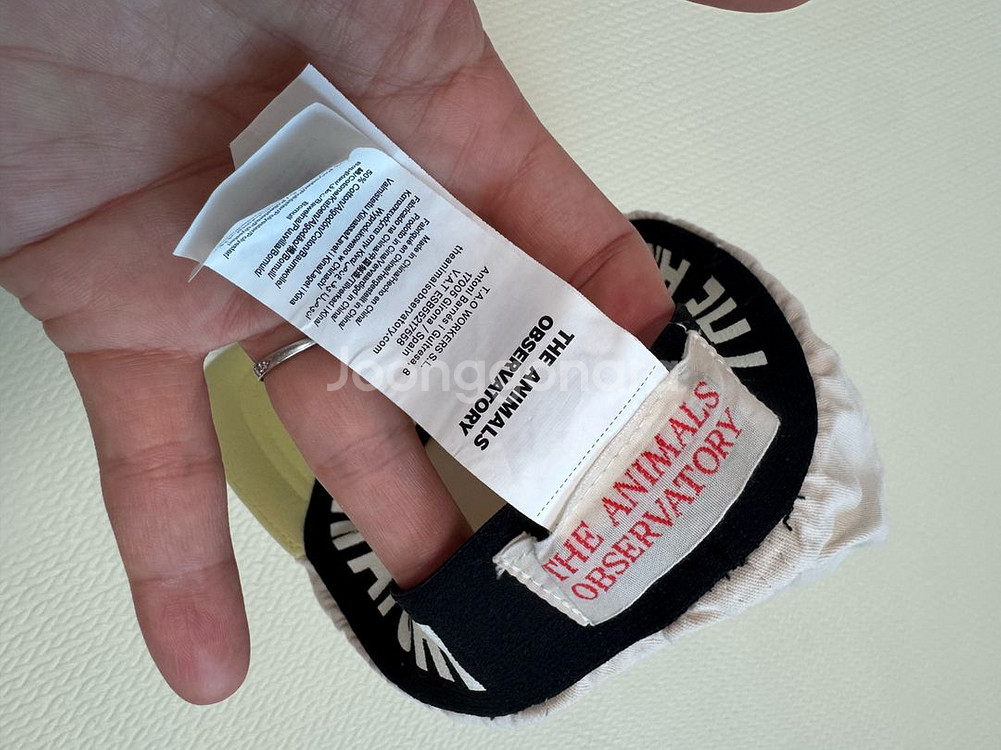 타오 모자키즈--2