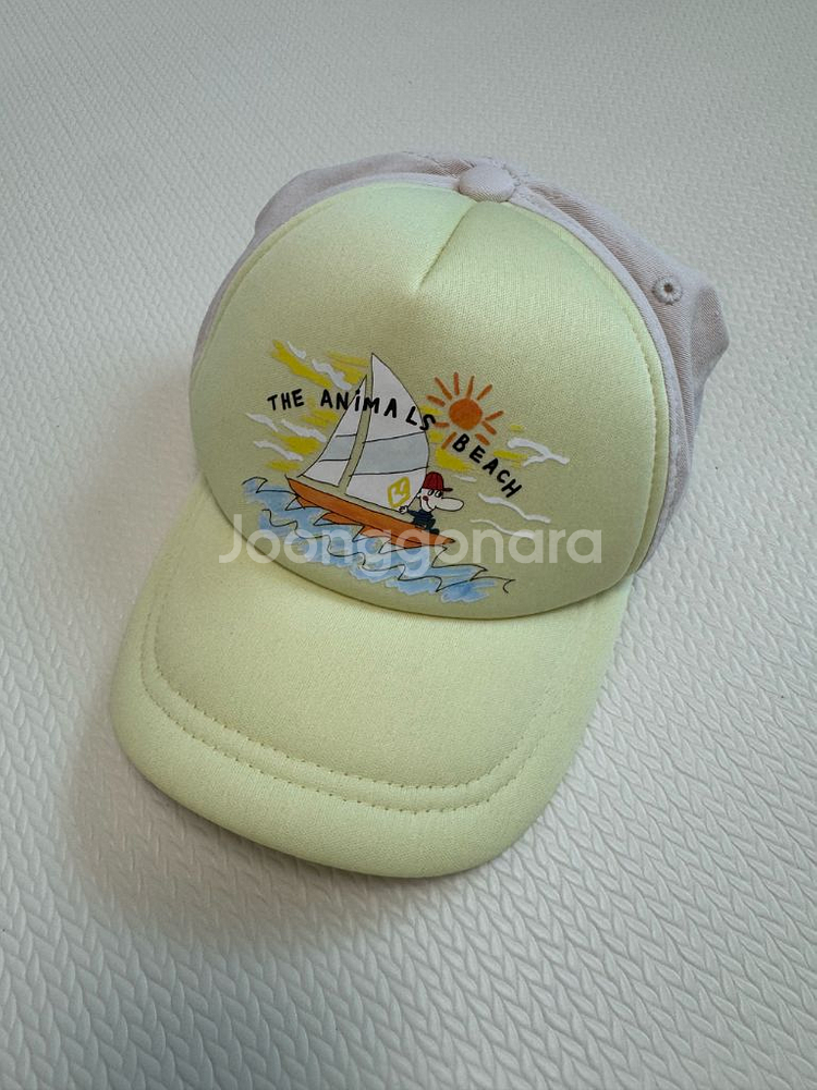 타오 모자키즈--0