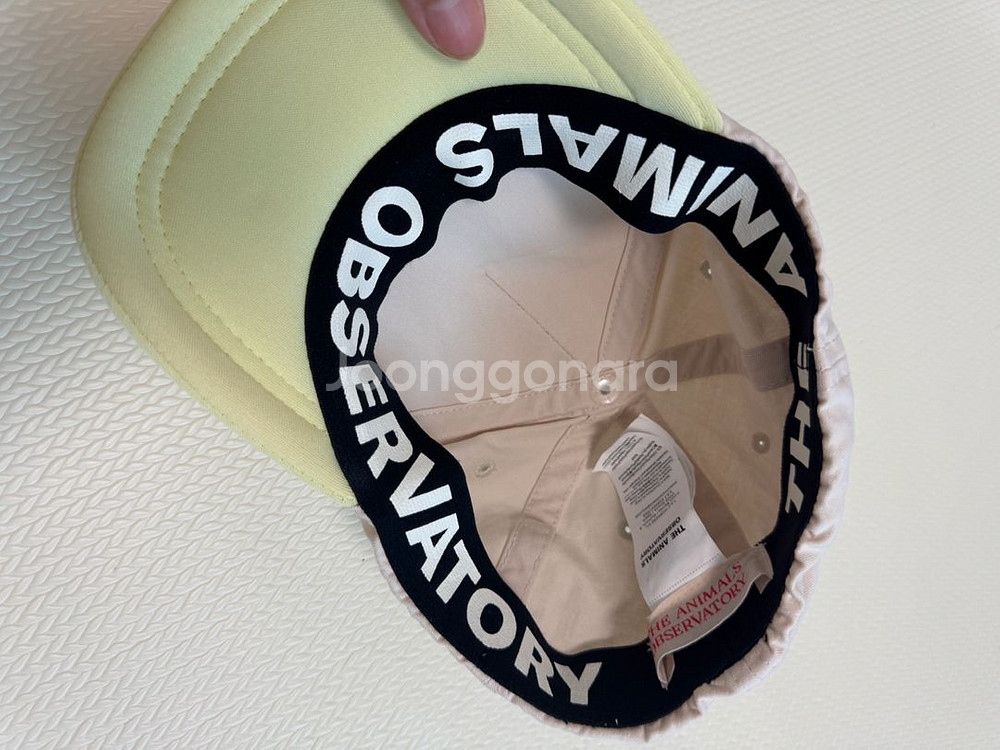 타오 모자키즈--3