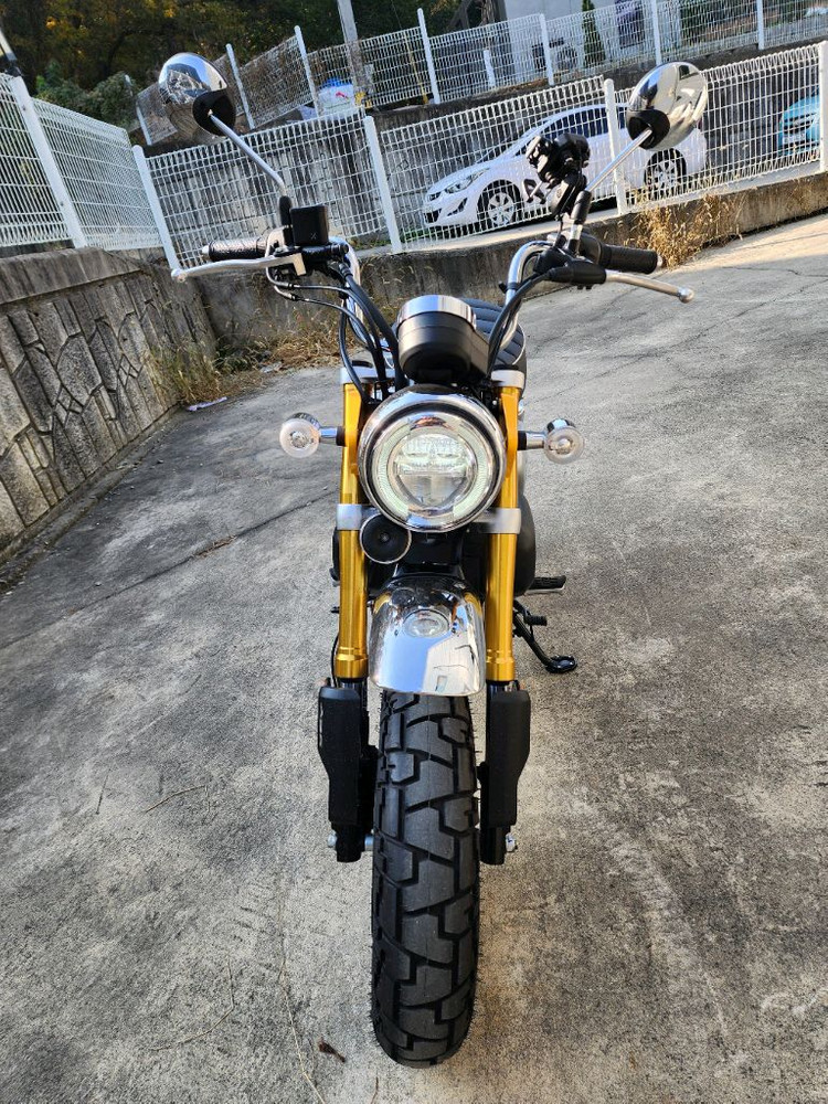 25년식 혼다 몽키 125 ABS 옐로우 판매 이미지