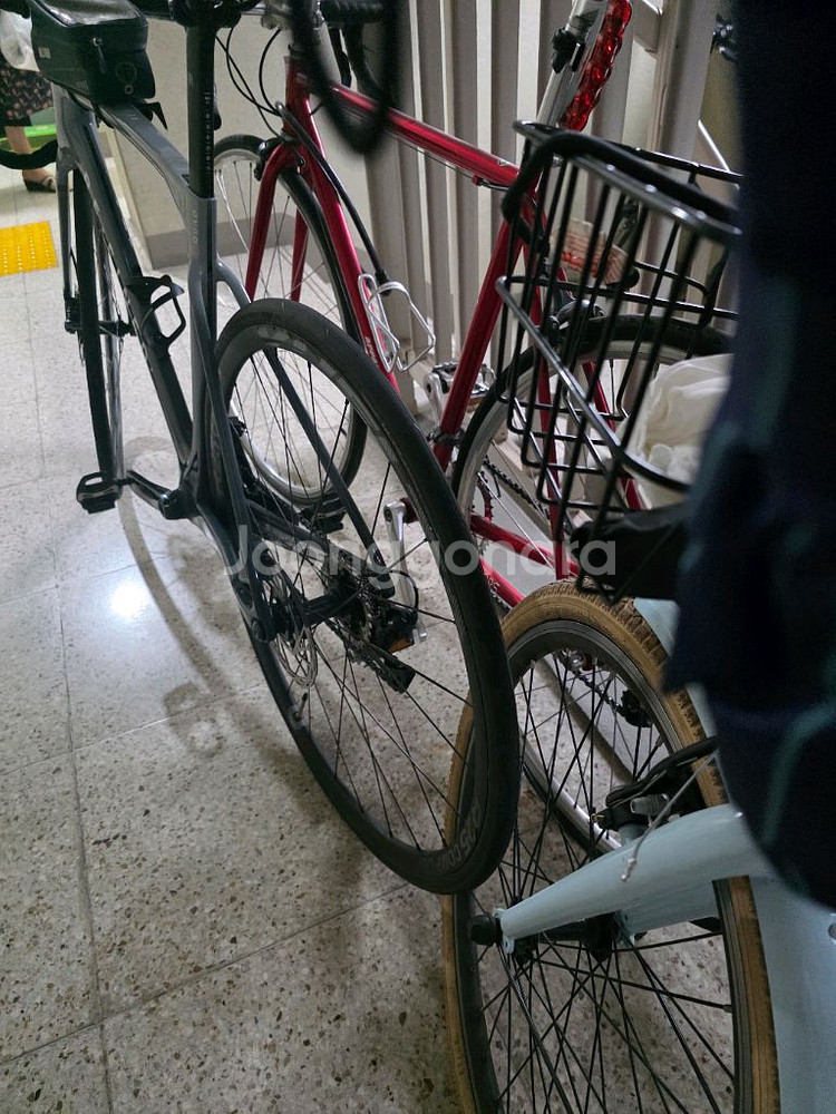 세파스 리파인드 4--0