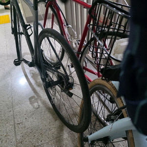 세파스 리파인드 4