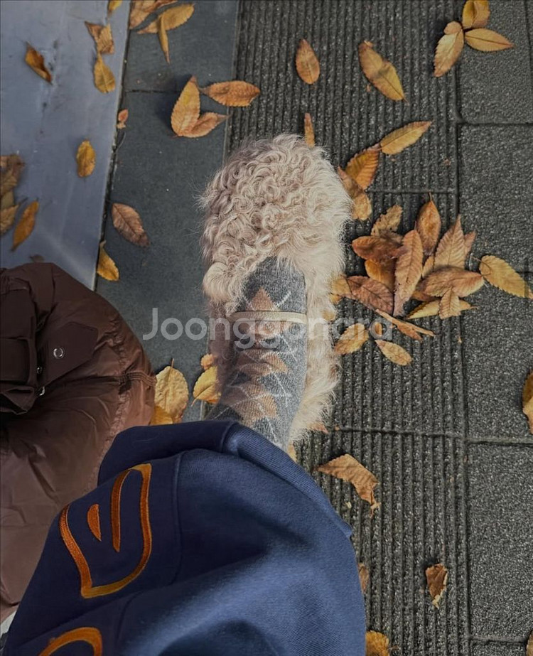 <새상품> 양털 메리제인 2color--6