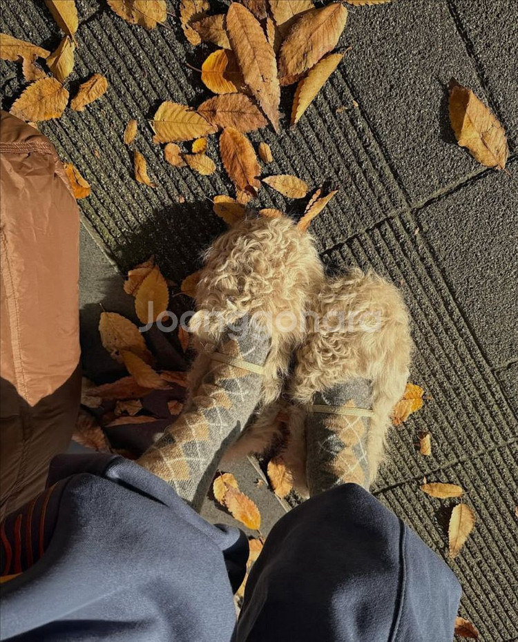 <새상품> 양털 메리제인 2color--8