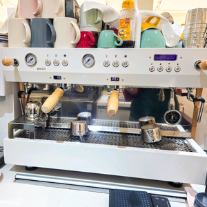 엘로치오 디그니티 2그룹 업소용 커피머신