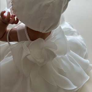 돌드레스 고급 깨끗