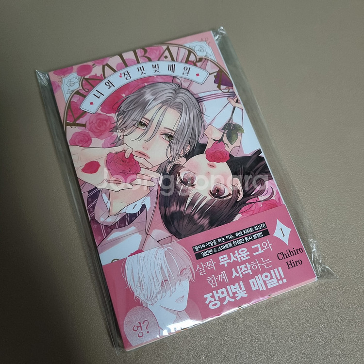 일본순정만화책 작품별 개별 판매 (판매글 잘 읽은 뒤 문의주세요!)--8