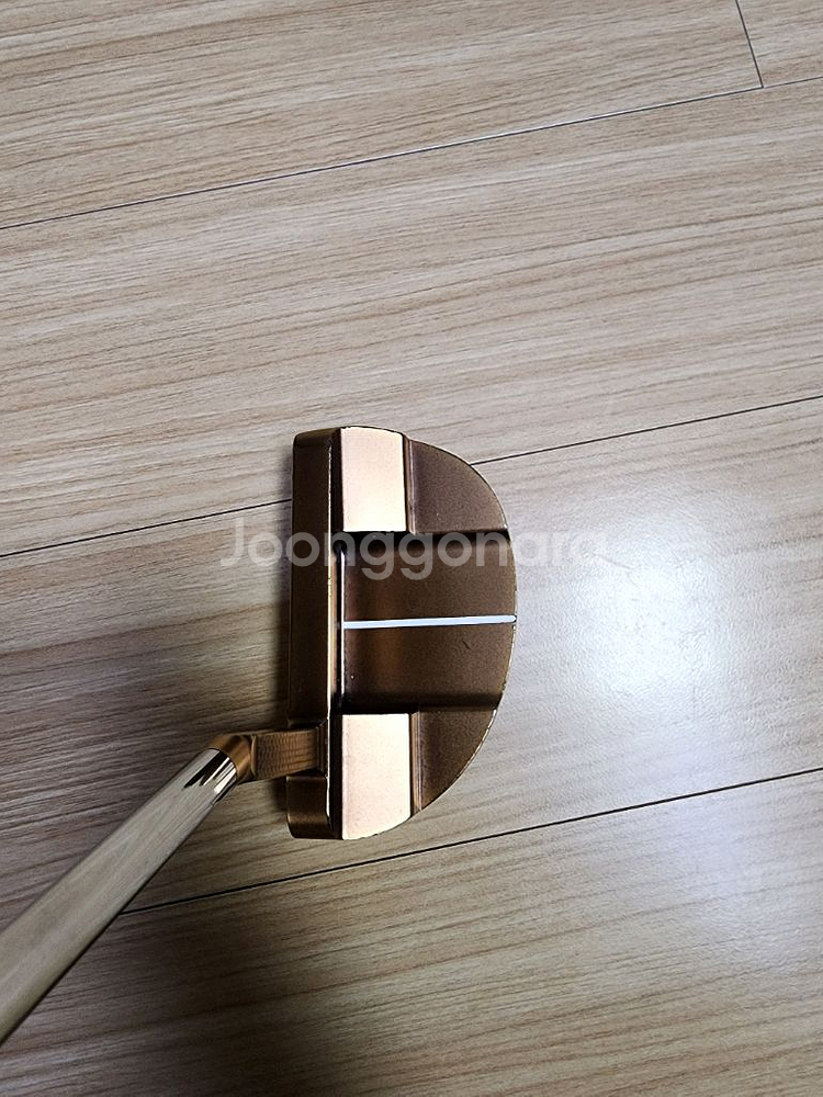 베티나르디 퀸비 퍼터--2