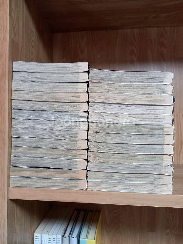 인기 만화책 25권 세트판매 (쌍망정은 부숴야한다, 푸드파이터 타베루, 헌터X헌터, 원피스 외)--3