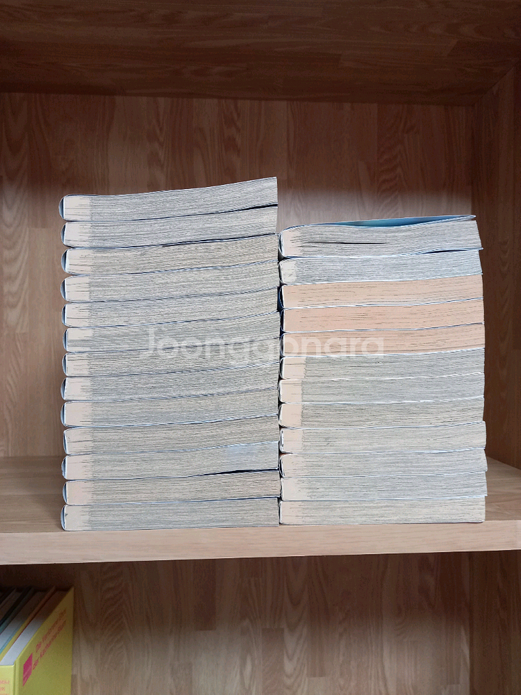 인기 만화책 25권 세트판매 (쌍망정은 부숴야한다, 푸드파이터 타베루, 헌터X헌터, 원피스 외)--5