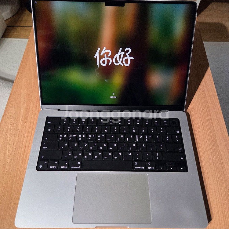 apple MacBook m1 pro 14--14