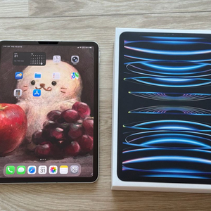 아이패드 프로 M2 11인치 1TB셀룰러 팝니다