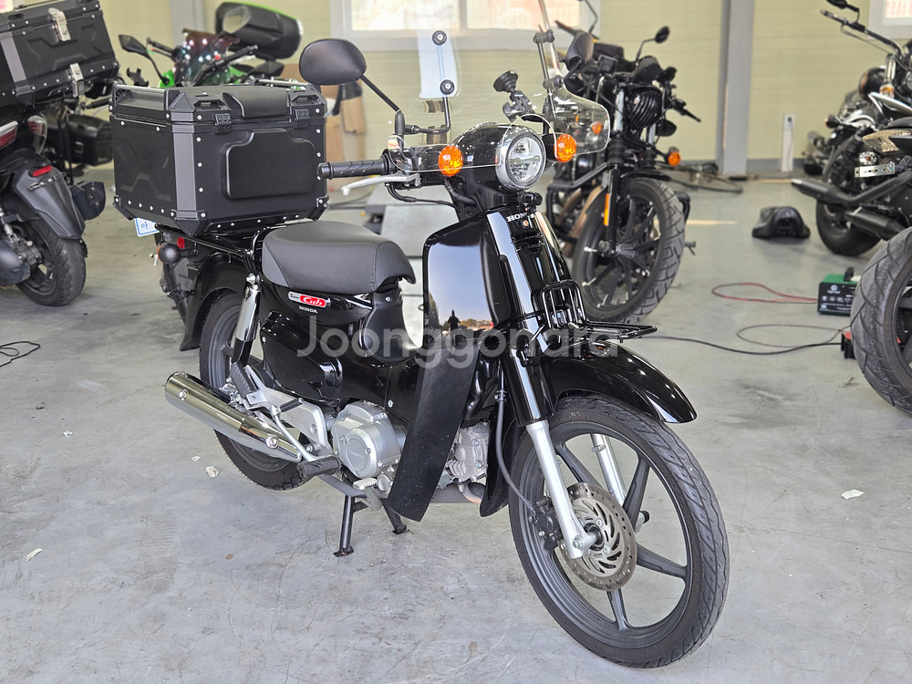 25년식 혼다 슈퍼커브 110 셋팅차량 판매합니다--0