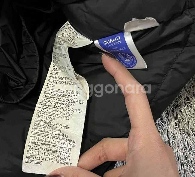 캐나다구스 패딩 100/L--3