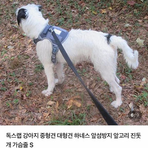 독스랩 강아지 하네스 블루그레이 xs사이즈 (평소 L~xl도 사용)