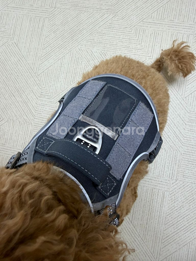독스랩 강아지 하네스 블루그레이 xs사이즈 (평소 L~xl도 사용)--3
