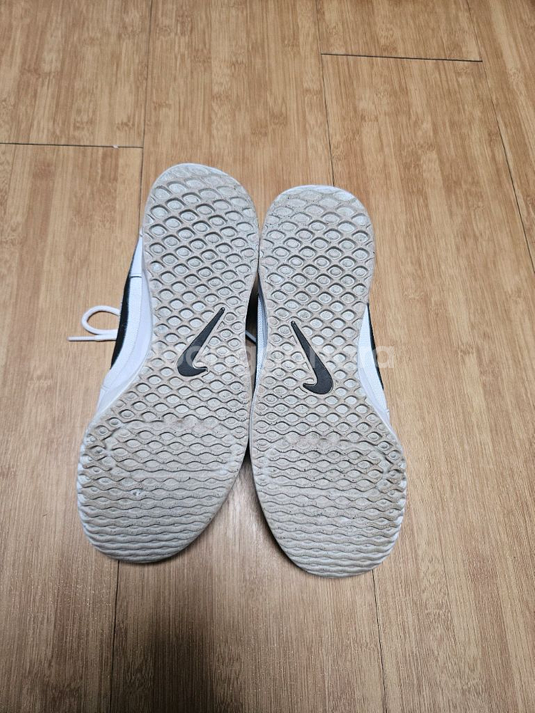 나이키코트 에어줌 라이트3 255mm--2