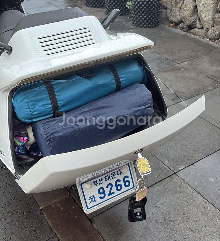 혼다 퓨전 250--1