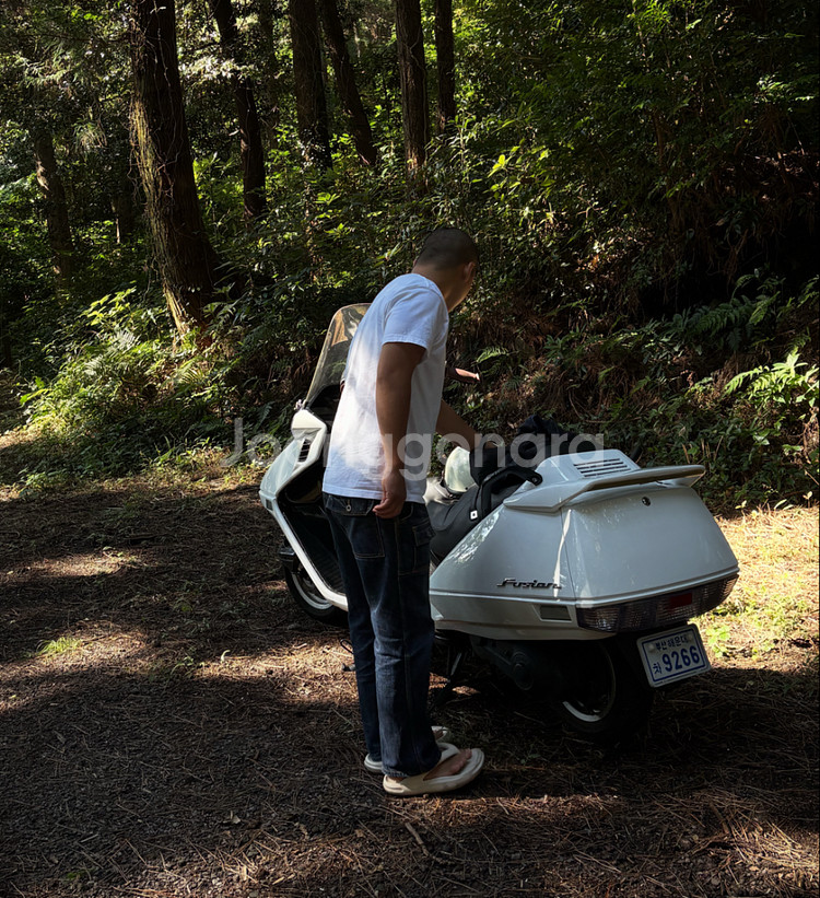 혼다 퓨전 250--2