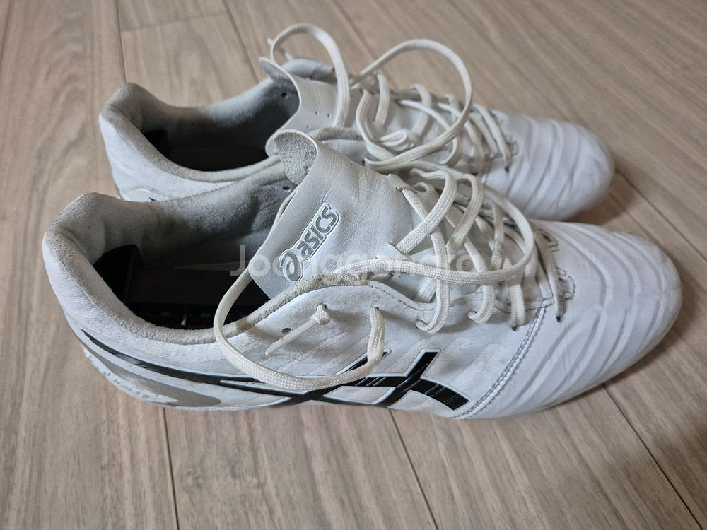 아식스 ds light ag 255mm--1