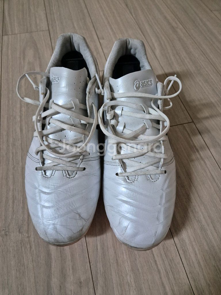 아식스 ds light ag 255mm--0