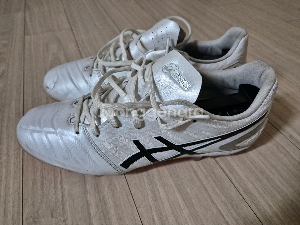 아식스 ds light ag 255mm--3