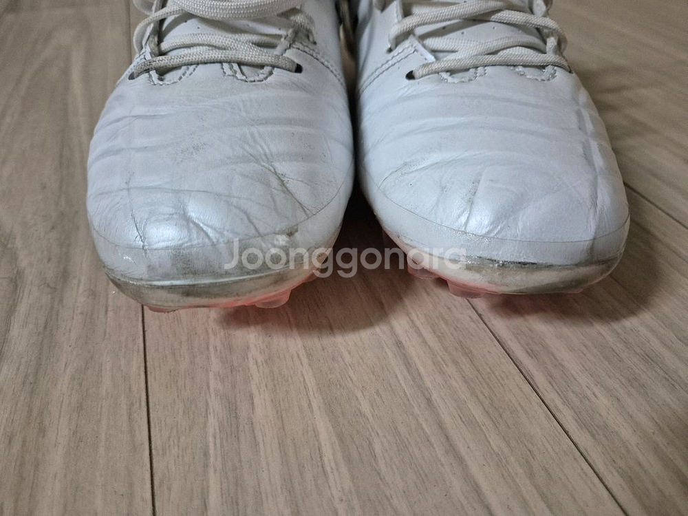 아식스 ds light ag 255mm--4