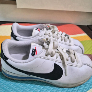 나이키 코르테즈235