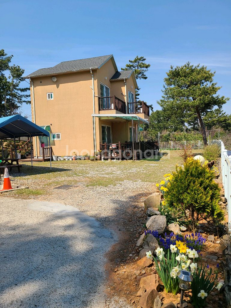 태안 해늘펜션 11월 29일 숙박판매(바베큐포함)--2