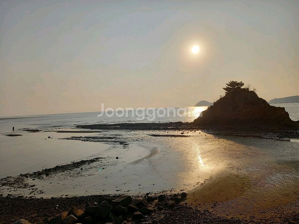 태안 해늘펜션 11월 29일 숙박판매(바베큐포함)--1