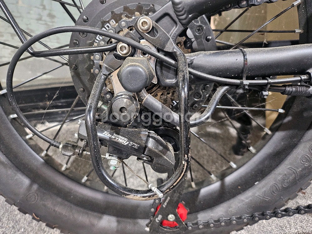 비아지오v5 전기 자전거--2