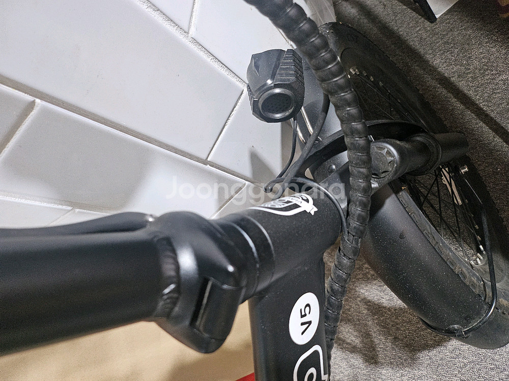 비아지오v5 전기 자전거--3
