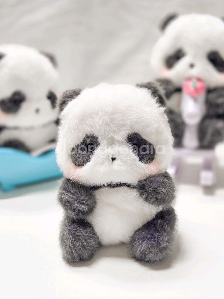 레어 아기판다 솜인형 판다 인형 봉제인형 희귀매물--4
