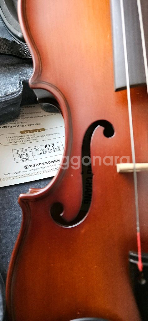 영창 612 바이올린--1