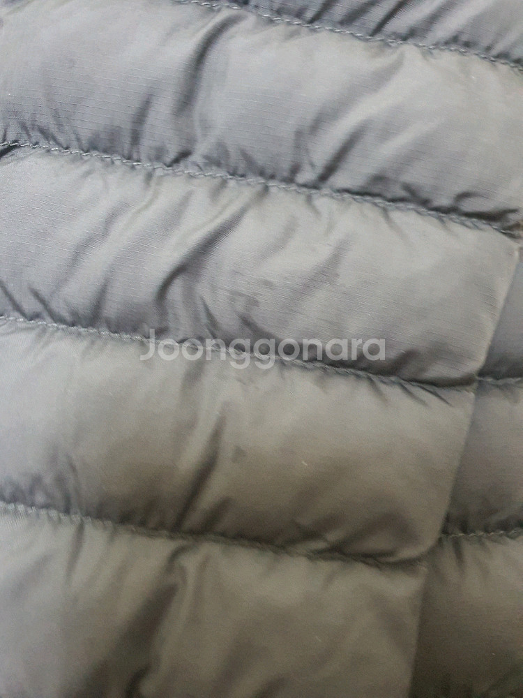 6T 폴로키즈 경량 패딩 점퍼--3