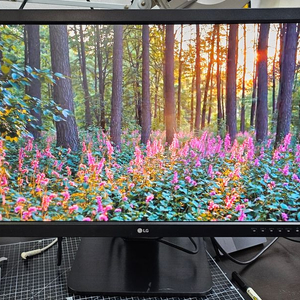 LG 27인치 60Hz FHD IPS 모니터 27MB35PH