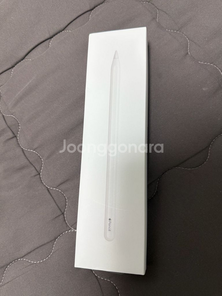 애플펜슬 2세대--1