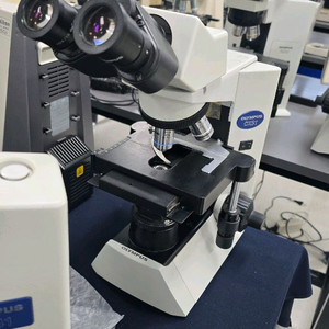 올림푸스 생물현미경 CX31 이미지