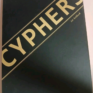 사이퍼즈 아트북