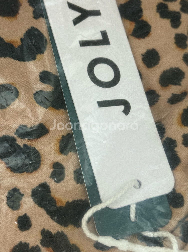 졸린 레오파드 잭슨 28--0