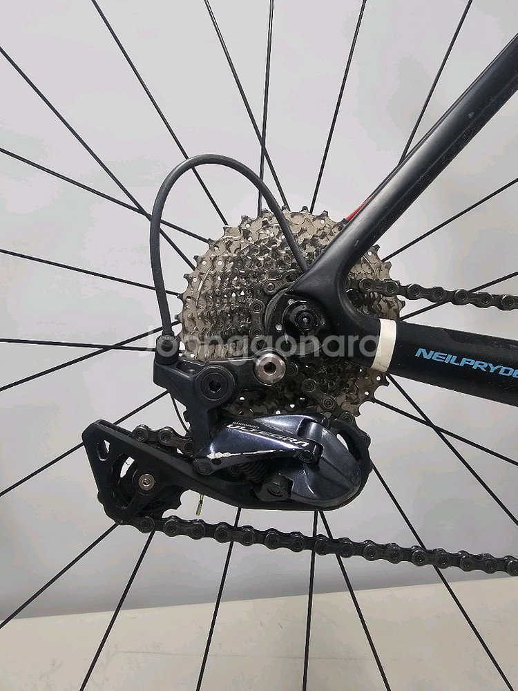 닐프라이드 나자레2 로드바이크--4