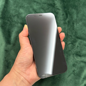 아이폰 12 프로 맥스 256GB